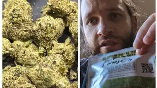 L'Orange - thca small buds exotic indoor hemp flower review! Killer 