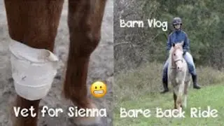 Sienna had a Visit from the Vet & Bare Back Ride - Barn Vlog