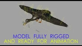 Duck Rig Preview