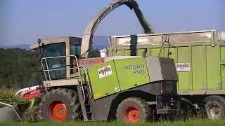 Gro&szlig;einsatz Maish&auml;ckseln made in Styria mit Class Jaguar 900 Orbis 600 f&uuml;r Biogas Anlage in der N&auml;he