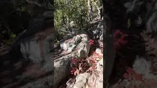 Testing iPhone 13 Pro Max Video Stabilization | Jumping on Rocks | Handheld | 4K 60