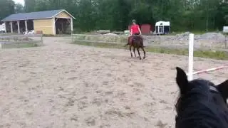 29/6-16