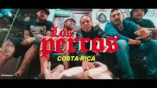 LOS PERROS de Costa Rica / La Revoluci&oacute;n de las Masas / Reel 1