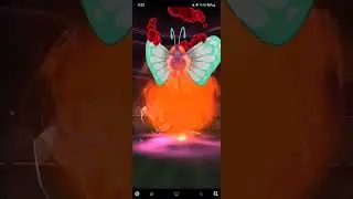 Gigantamax Butterfree Duo In Sunny 🍄 (No Helper, No Blade Boost)