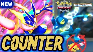 [COUNTER] Chingling... You Dare to Come?! 🔔 Frogadier DOUBLE TEAM is just so CONSISTENT ー Pok&eacute;mon 