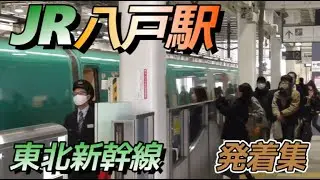 【八戸駅】東北新幹線の高速通過・発着集　2023/11/18