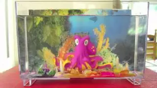 Magic rocks