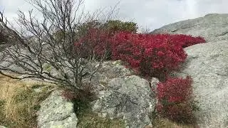 Newland, NC, Fall colors