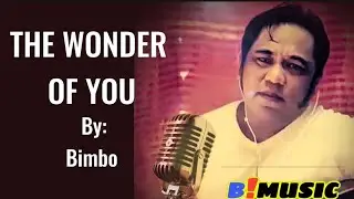 THE WONDER OF YOU - ELVIS PRESLEY ( COVER ) BIMUSIC 