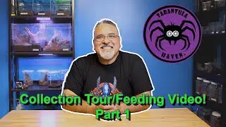 Collection Tour/Feeding Video!  Part 1