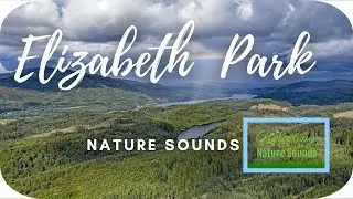 🌲 Queen Elizabeth Forest Park Sounds for Sleep, Stress Relief, Study | Relaxing Nature Sounds