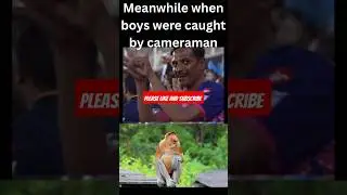 why cameraman focus only on girls #ipl #cricket #cameraman #memes