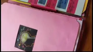 biology project file/drug addiction/very beautiful and easy.../short notes on drug addiction