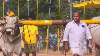 నరసరావుపేట ఆరుపళ్ళు 2జత.పమిడి అంజయ్య చౌదరి గారు ప్రత్తిపాడు గ్రామం ప్రత్తిపాడు మండలం