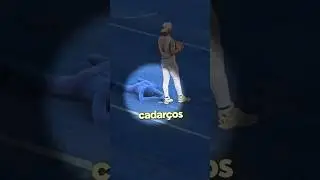 Você conseguiria enxergar ele escondido no campo?!
