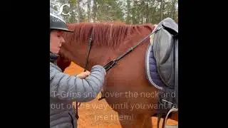 The 3-in-1 Training Breastplate from Correct Connect