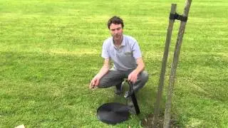 Tree Strapping Belt
