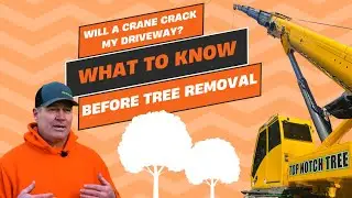 Tree Removal with a Crane - Will It Crack My Driveway? | Top Notch Tree | South Shores, MA