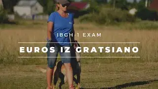 IBGH-1 exam with belgian malinois Euros iz Gratsiano III Сдача испытаний по IGBH-1 с малинуа.