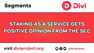 Divi Segments - Staking As A Service Gets Positive Opinion From The SEC