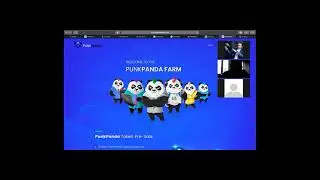 Punk Panda -обзор кабинета
