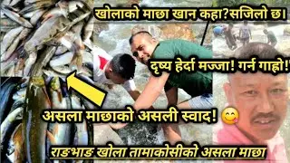 खोलाको असला माछा खान सजिलो छैन॥असला माछा समात्न कस्तो गह्रो॥खोलामा माछा समात्नु सजिलो छ? Try गरौँ!