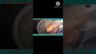 Easy Perfect Duck Breast Recipe😮🤤 #duckrecipe #duck #shorts #homecookingtv