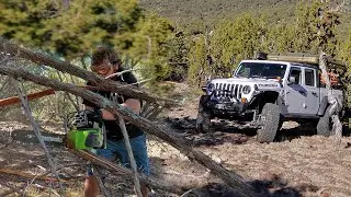 Making 4x4 Trails at the OFF GRID PROPERTY with an Electric Chainsaw