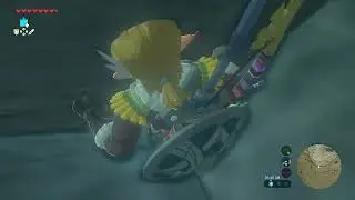 Small BOTW Glitches