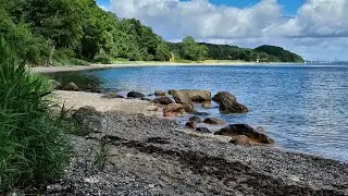 Moesgaard Strand 2020