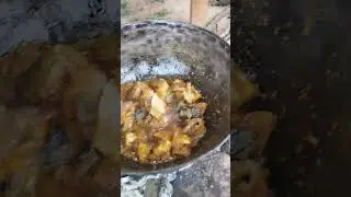 Mountain Goat : पहाड़ी बकरा #youtubeshorts #viral #ytshorts #shortsfeed