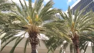Natural Products Expo West 2022