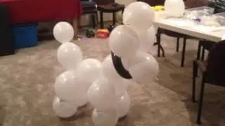 Flashing shoes on balloon dog