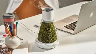 Now on Kickstarter: Oasis Planter: Self-Sustaining Moss Air System