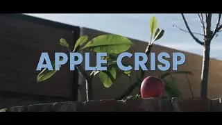 DanSully - Apple Crisp (feat. Peyton Pearson) [Official Video]