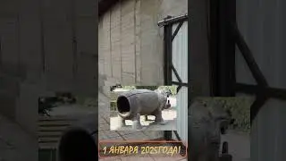 Как всё начиналось. Купил линейный привод распашных ворот.