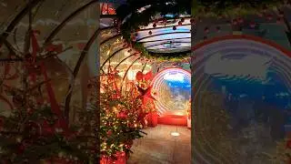 Christmas Decorations 🇷🇴 #Christmas market#christmas lights#Romania#travelshorts