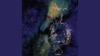 Out of Reach