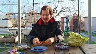 Обзор на мармелад на природе! (5) Fruit-tella (Фрутелла), MixBar (Миксбар), КандиКлаб, BabyFox
