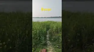 Buxar #nadiyakepaar #shortvideo #safar #trending #travel #ytshorts #explore #travelvlog #bihar