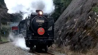 SLやまぐち 津和野稲成号(D51) 2020 仁保駅→篠目駅  - 仁保駅 -