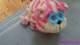 Bagpuss