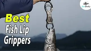 Best Fish Lip Gripper In 2020 &ndash; Pick The Best One From Our Selections!