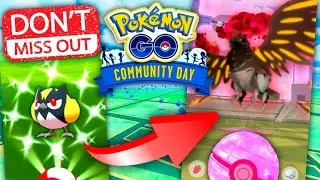 *DONT MISS SHINY ROOKIDEE COMMUNITY DAY & FARM FOR GIGANTAMAX CORVIKNIGHT* Pokemon GO news