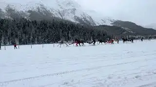 Skij&ouml;ring at the White Turf Horse Races in St. Moritz, Switzerland