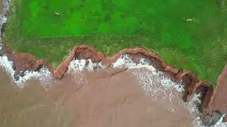 Fall Flying