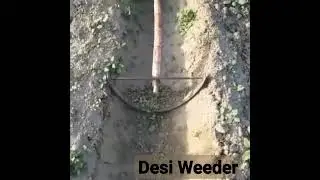 "Desi Weeder Wonders: Efficient Garden Solutions"