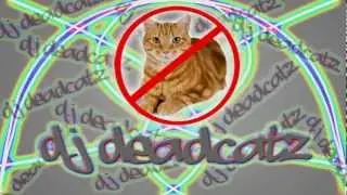 DJ DeadCatz - 3 Song Mix