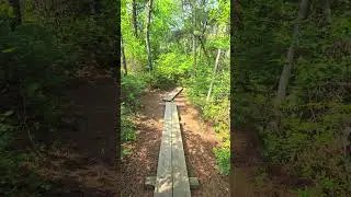 NATURE - Walking Boardwalk Bushes in Marks Cove Conservation Area