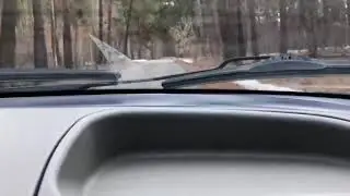 Лада Калина тогэ/Lada Kalina touge
